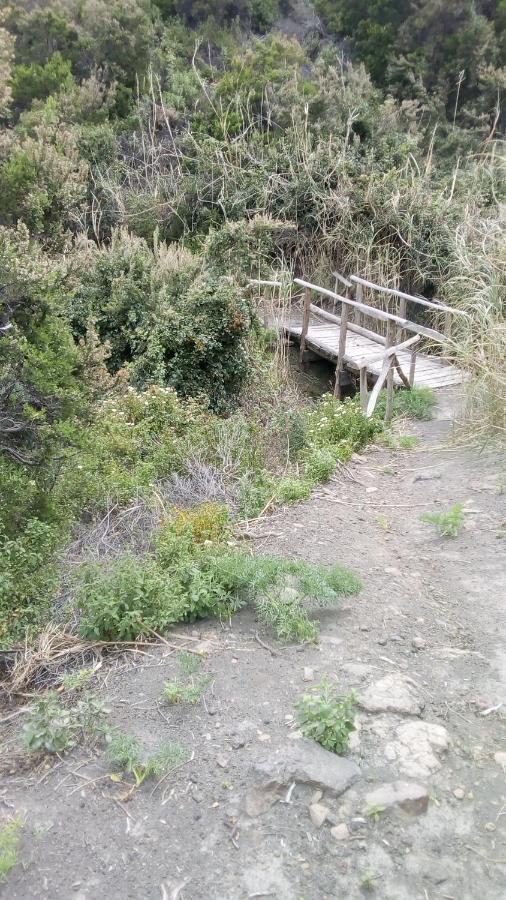 B&B Casa Frank Stromboli Zewnętrze zdjęcie